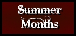 Summer Months Button