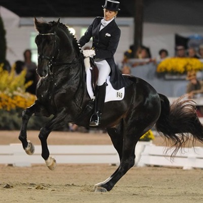 Dressage2